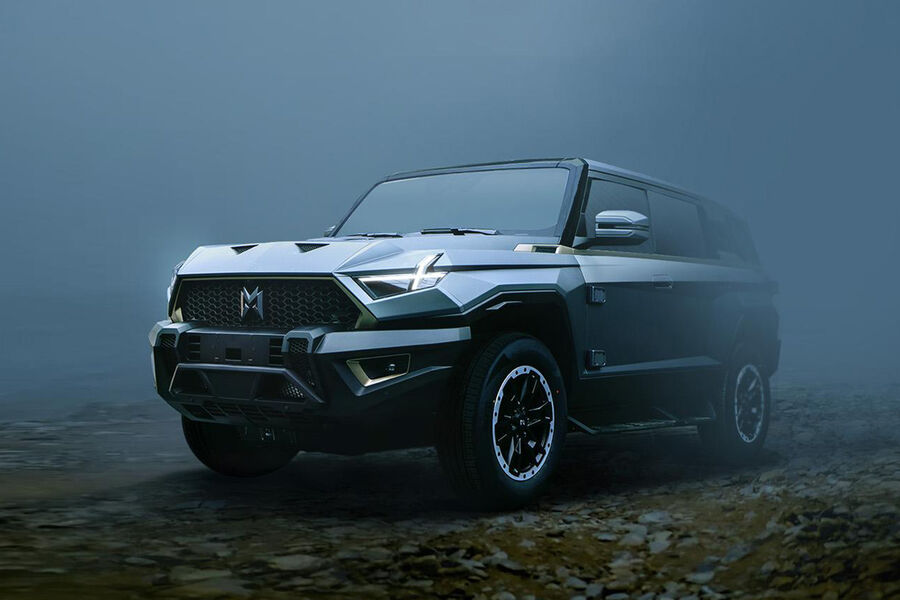 "Ayıq sürücü" yolda yatan qadından oğurluq etdi