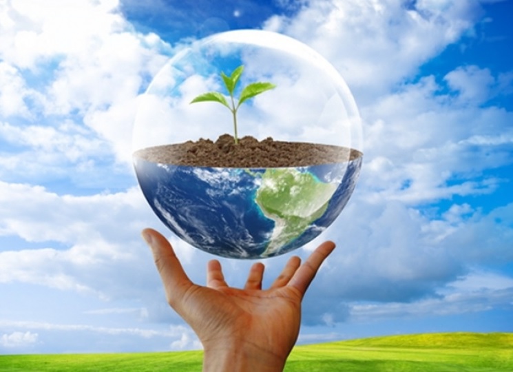 Ekologiya və ətraf mühitin mühafizəsi: Azərbaycan hansı addımları atır?