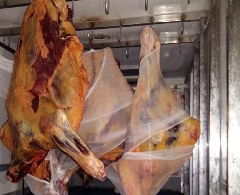 Birgə əməliyyat: iki ton yararsız ət aşkarlandı - VİDEO