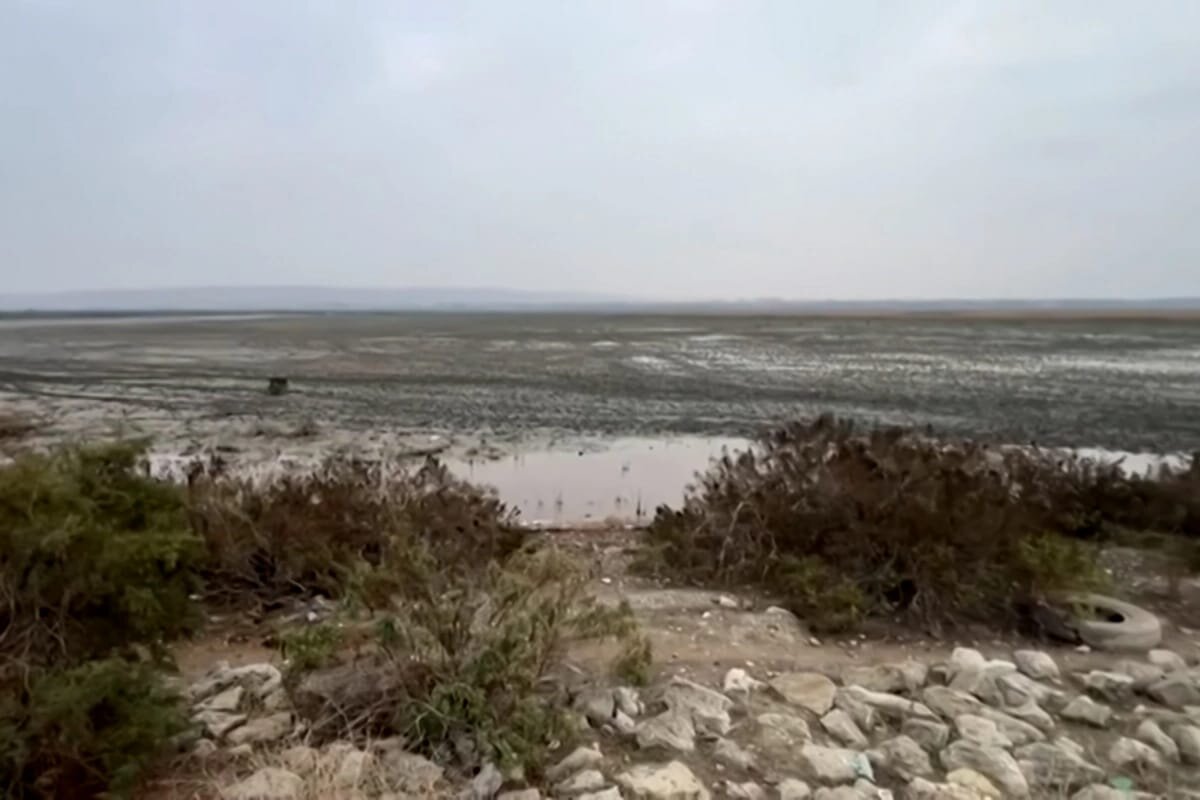 Azərbaycanın ən böyük göllərindən biri quruyur - VİDEO