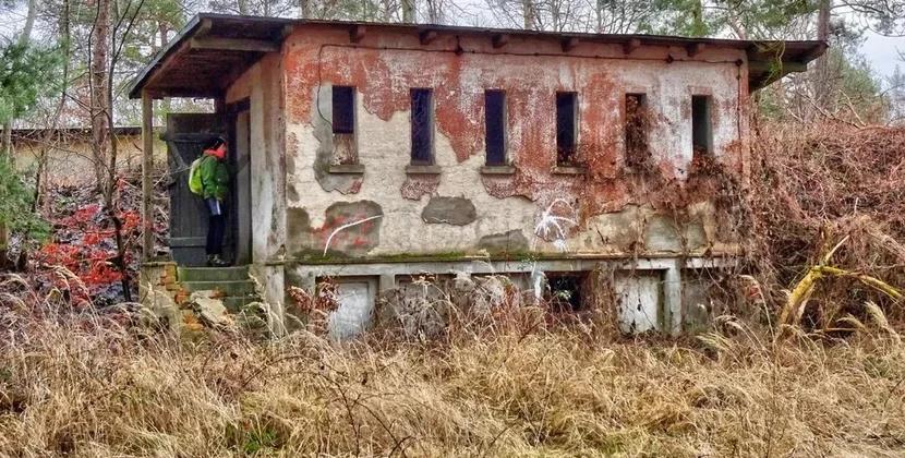 Keçmişin qorxunc mirası: "ölüm meşəsi"