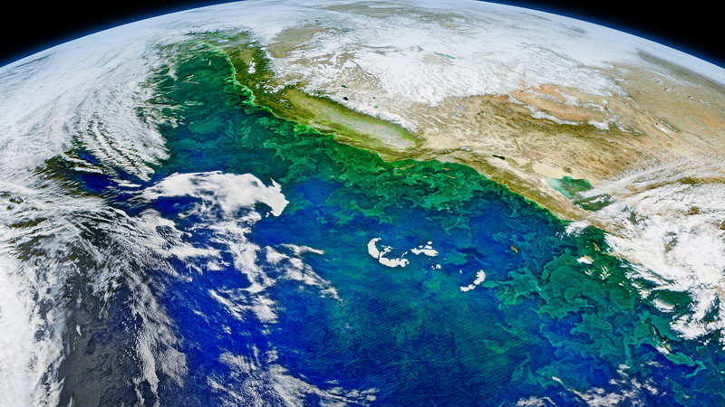 Alimlər: Yerin oxu insan səhvinə görə əyilib