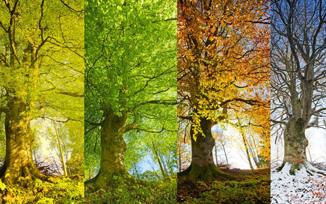 Gələn il fəsillər bu tarixlərdə əvəzlənəcək