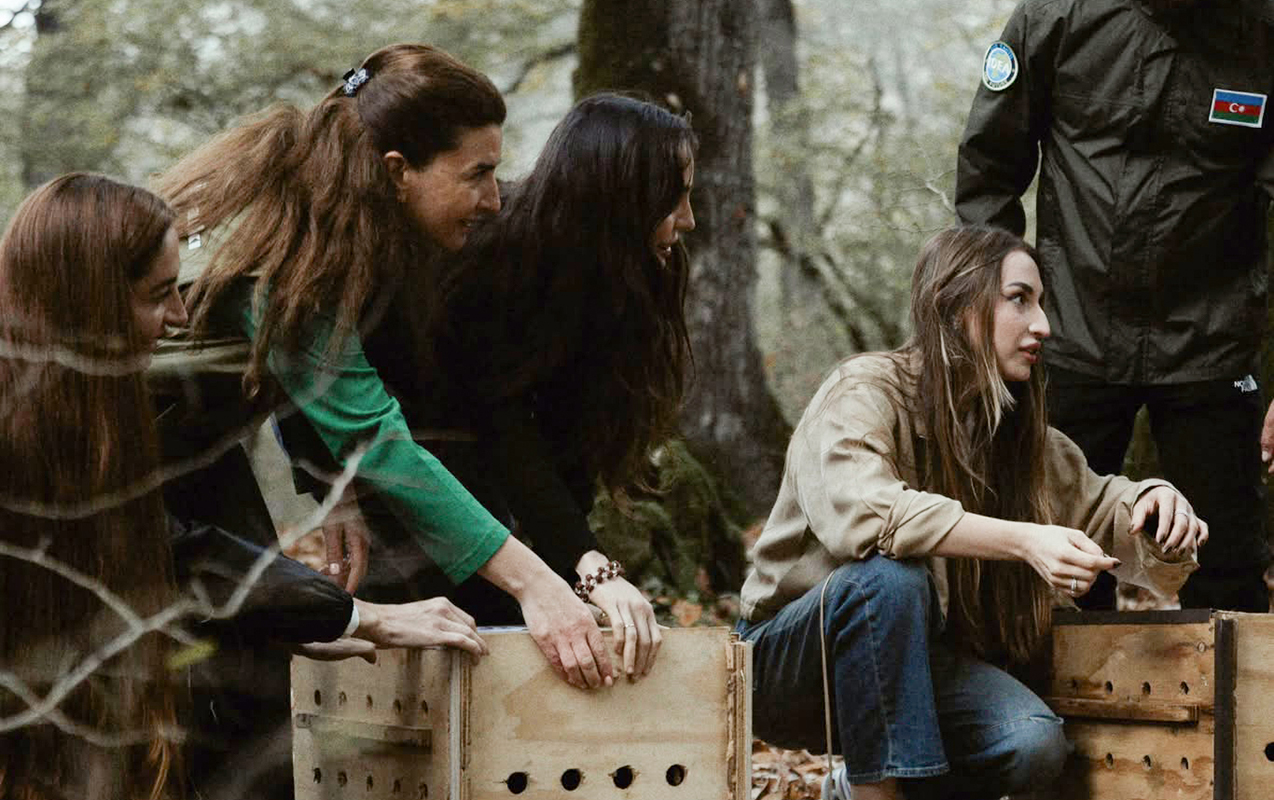 Prezident ailəsinin Lənkərandan maraqlı - FOTOLARI