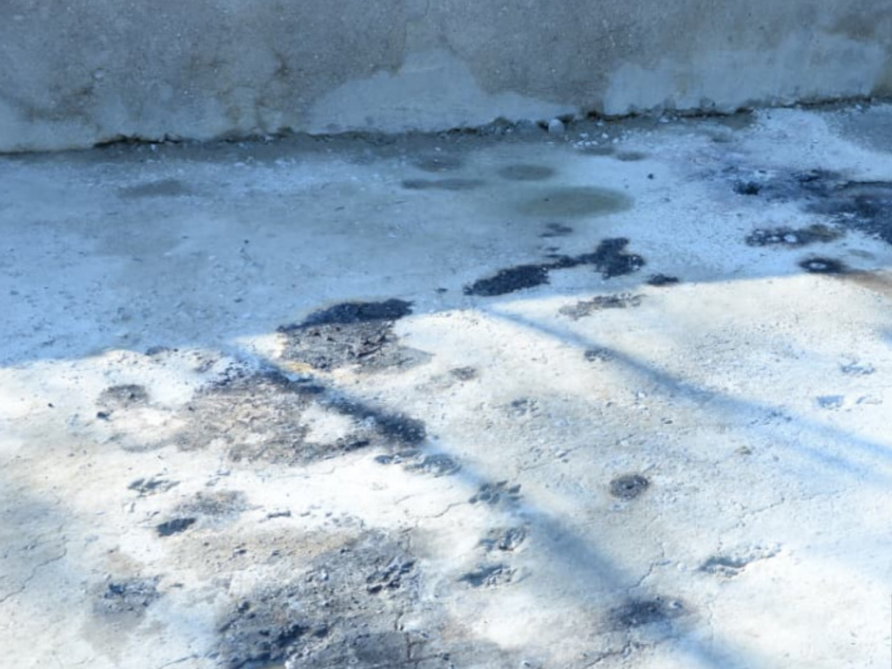 Ofisiantların öldüyü yerdən görüntülər - VİDEO