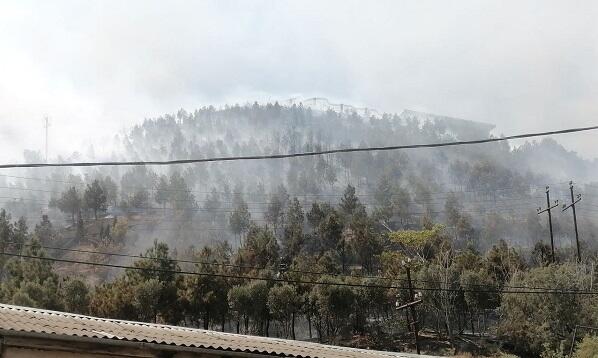 Gədəbəydə dağlıq ərazidə yanğın baş verdi