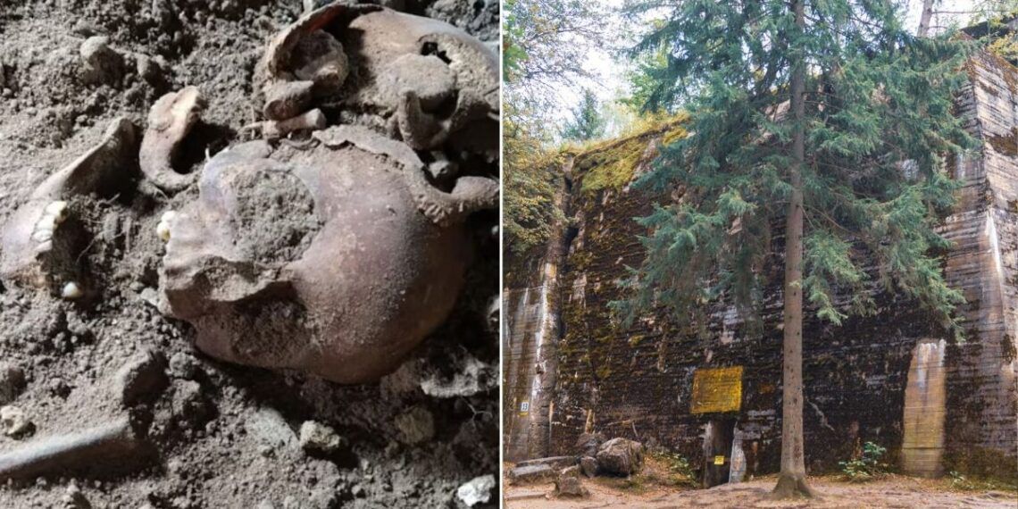 Hitlerin gizli bazası: "Qurd Yuvası"