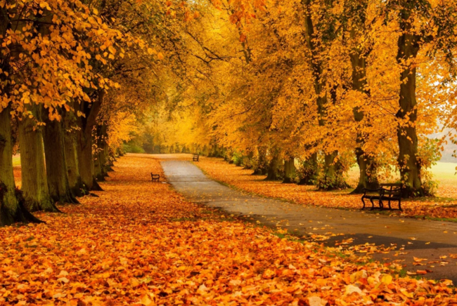 Havanın normaya uyğun olmaması psixologiya mənfi təsir edir - AÇIQLAMA