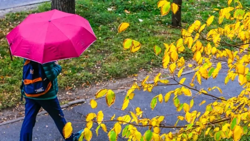 Sabahın hava proqnozu:duman, çiskin, külək...