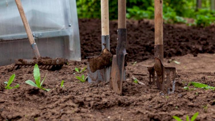 İsmayıllıda qeyri-adi adət: Ölən adamı öz həyətində basdırıblar