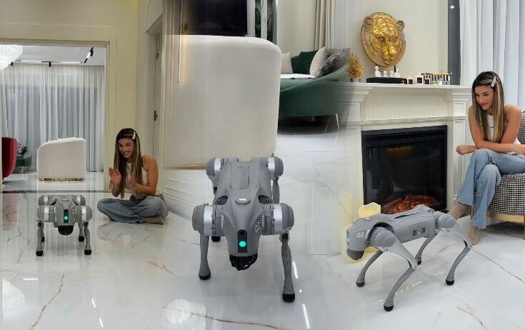 Azərbaycanlı bloger robot it alıb