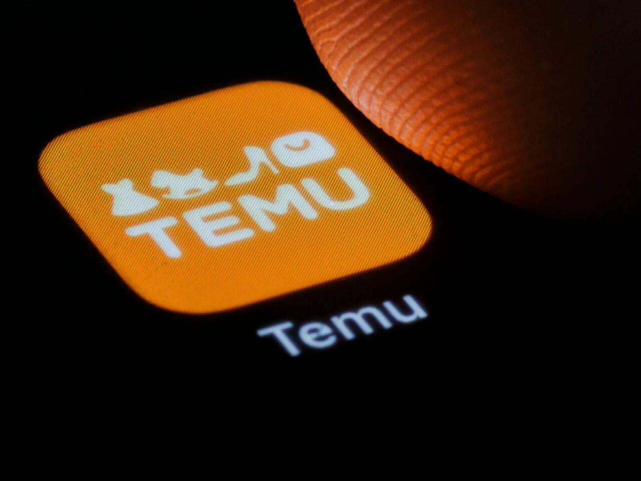 Temudan "yolka" sifariş verdi və.... - FOTO