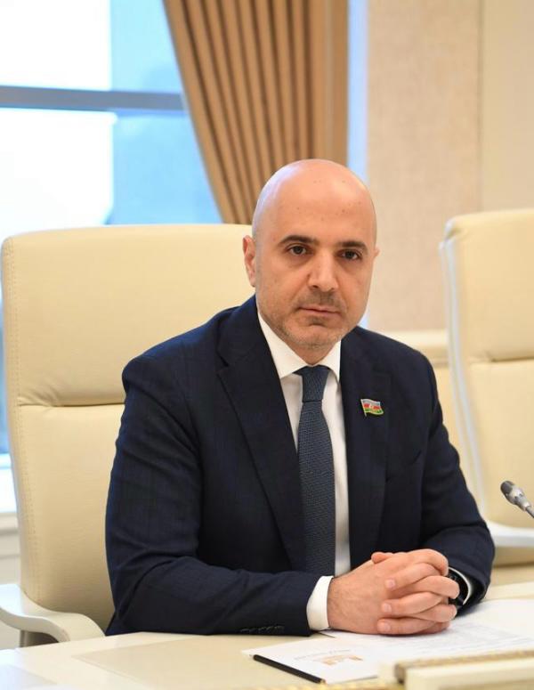 Göydəniz Qəhrəmanov: "Antimilli qüvvələrin fəaliyyəti iflasa məhkumdur"