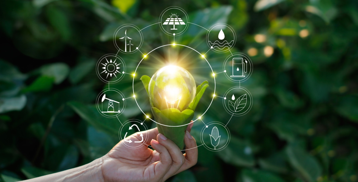 "Aqrar sahədə bu texnologiyaları əlçatan etmək istəyirik"- Nazir müavini