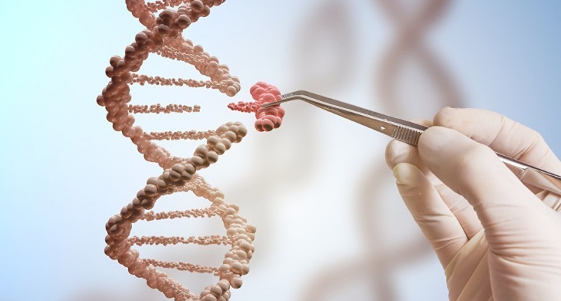 Avropada genetik qalmaqal: Azərbaycanda da risk varmı?