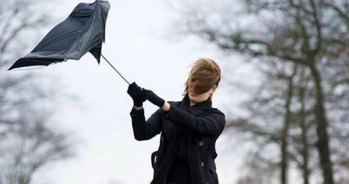 Rayonlarda güclü külək əsir