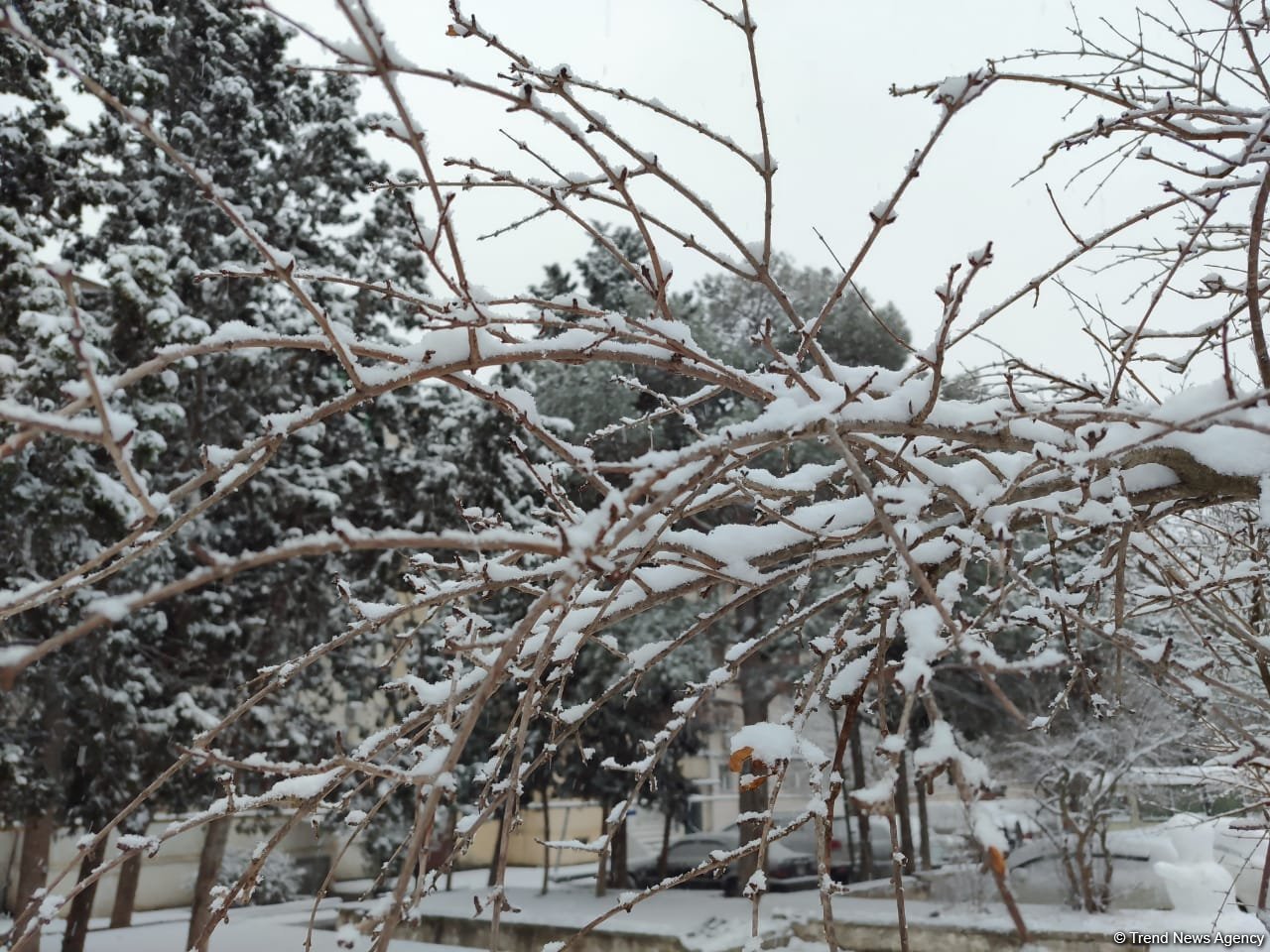 Türkiyədə kəskin soyuqlar gözlənilir