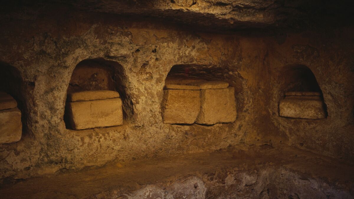 Dünyanın ən qədim şərabını açdılar: məzar sirri aşkarlandı
