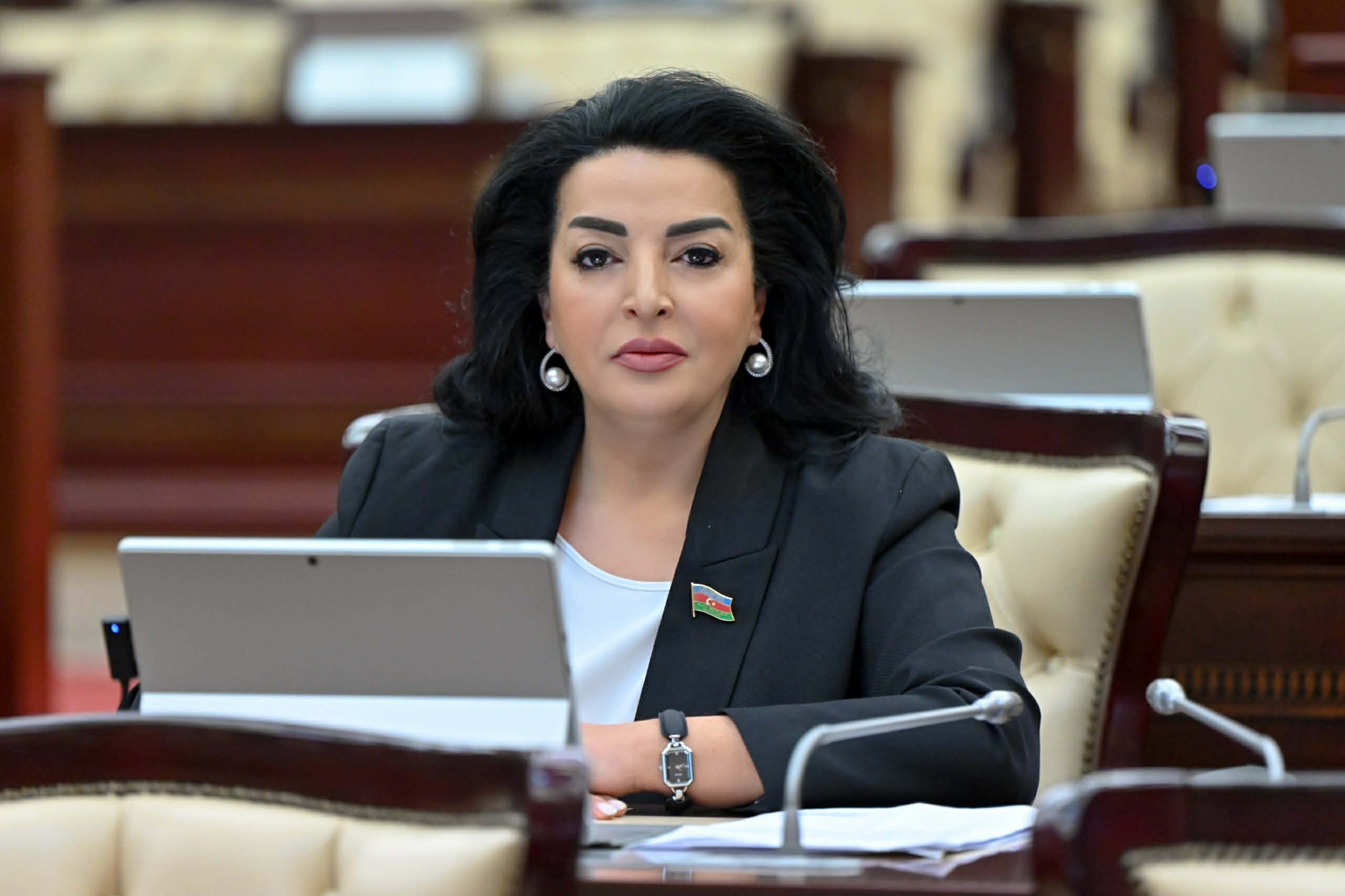 Prezident İlham Əliyevin qətiyyətli siyasəti müasir Azərbaycanın uğurlarının təməlini qoyur