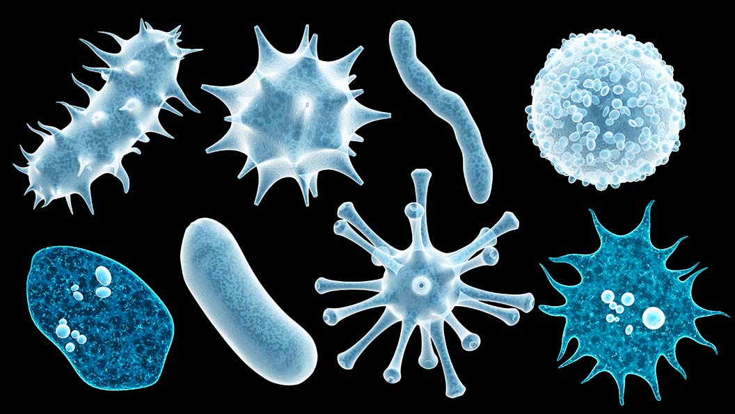 Yüksək hərarət və halsızlıq - İnfluenza sürətlə yayılır