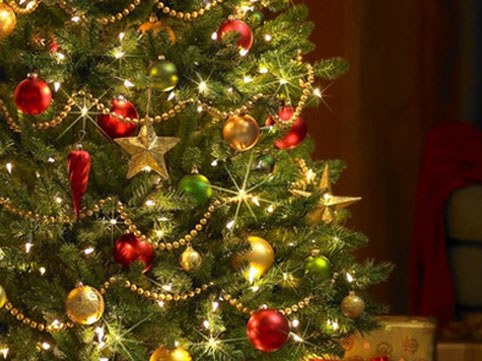 Bayramdan sonra evdə yolkanı necə düzgün yığışdırmalıyıq?