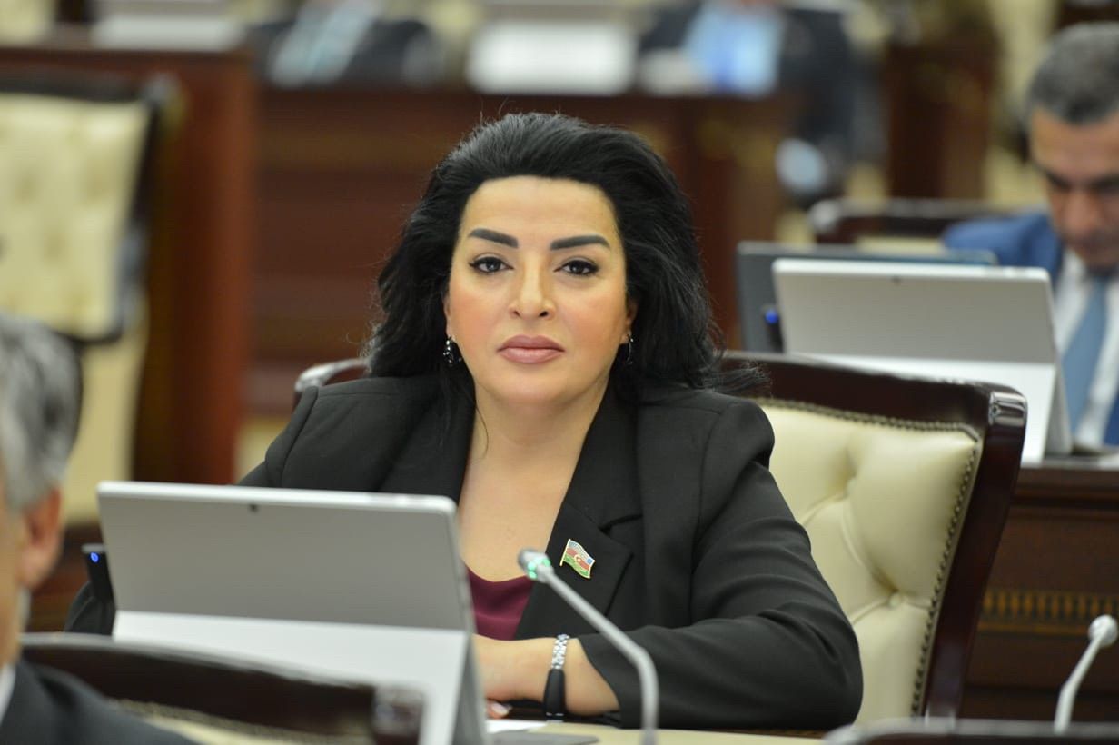 "Bu möhtəşəm siyasi xətt bu gün möhtərəm Prezidentimiz uğurla davam etdirilir" -Deputat