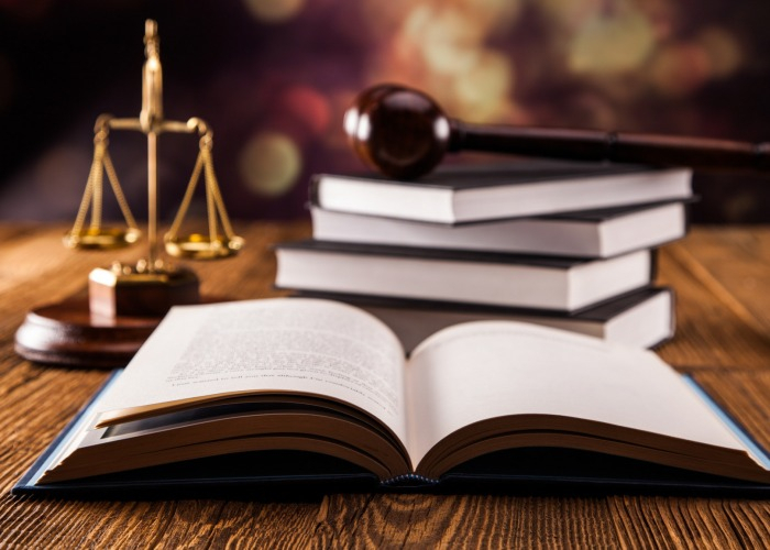 Dünyada ilk: Bu ölkədə arılara hüquqi status verildi