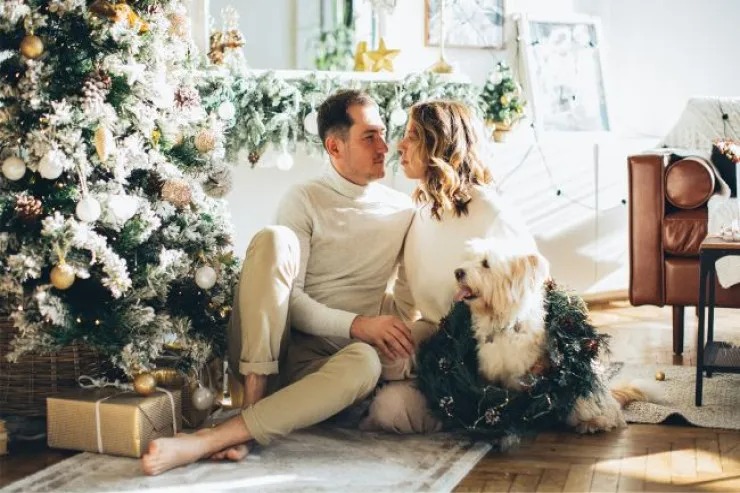 Yeni il möcüzəsi yaxındır: 4 BÜRC əsl sevgini tapacaq