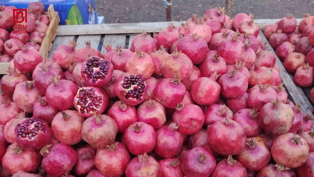 Bazarlarda nar "böhranı" – Qiymətlər kəllə-çarxa QALXDI