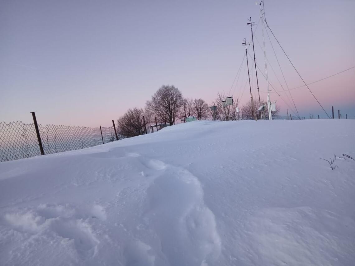 Şahbuzda qarın hündürlüyü 48 sm-ə çatdı