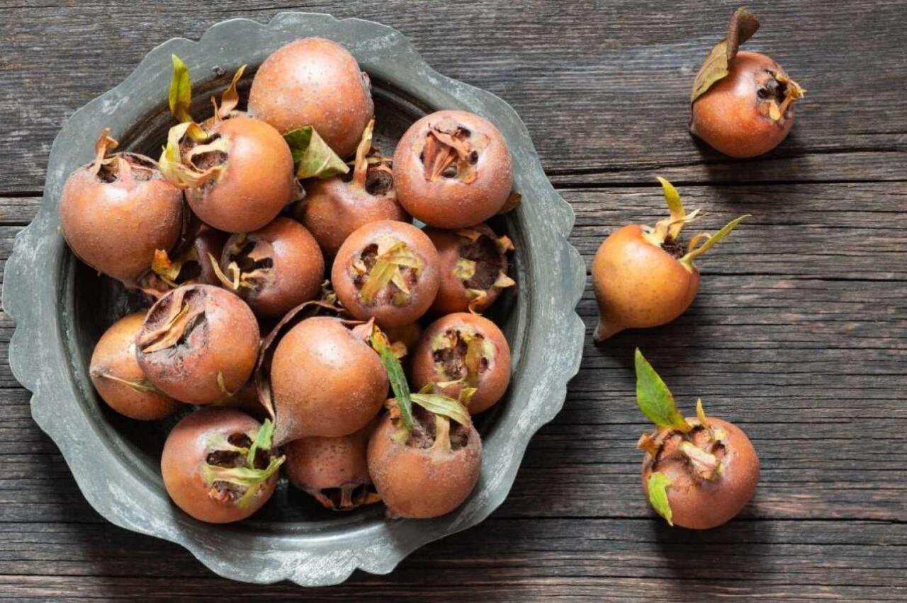 Əzgilin faydaları: İmmuniteti gücləndirir...