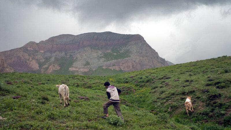 Mingəçevirdə çoban quyuya düşdü