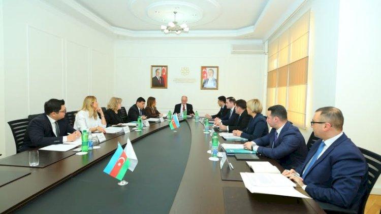 İcraçı direktorluq ləğv edildi, yeni vəzifə yaradıldı, təyinat oldu