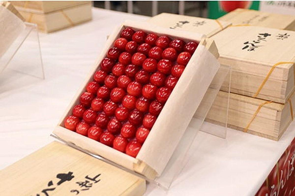 300 ədəd albalı görün neçəyə satıldı: Rekord hərrac