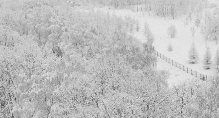 Moskvaya son 50 ilin ən güclü qarı yağdı