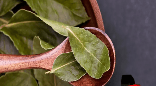 Yanvar ayının bu tarixlərində dəfnə yarpağı yandırın