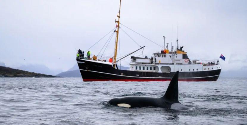 Azərbaycanda zəlzələ oldu