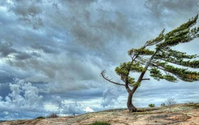 Hava ilə bağlı əhaliyə xəbərdarlıq edildi