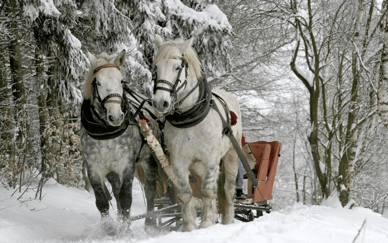 Qar yağacaq, 20&deg; şaxta olacaq