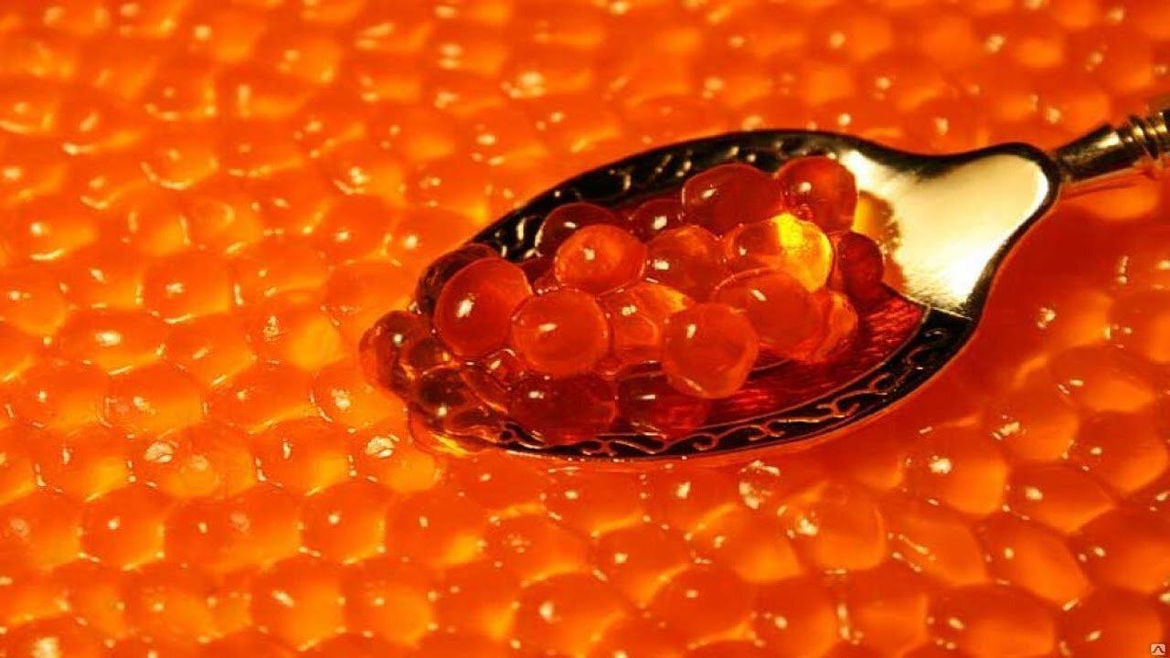 Azərbaycan 62 ton balıq kürüsünün əvəzedicilərini idxal etdi