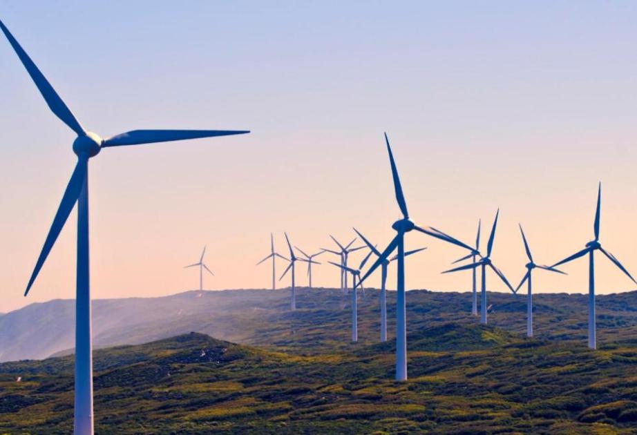 Küləklə fırlanan turbinlər - Azərbaycanda 300 min evi işıqlandıracaq