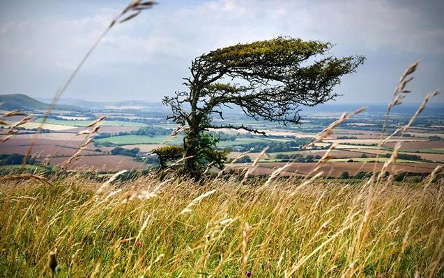 Sabah Azərbaycanda güclü külək əsəcək - XƏBƏRDARLIQ