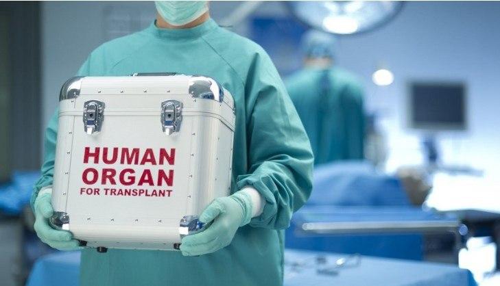 Azərbaycanda robotik böyrək transplantasiyası HƏYATA KEÇİRİLƏCƏK