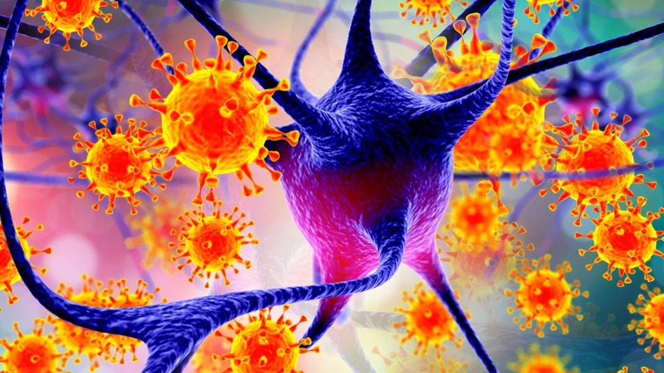 Nipah virusu pandemiyaya çevriləcək? – AÇIQLAMA