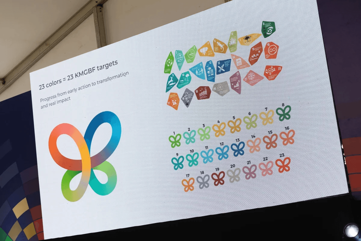 Azrbaycan Ermənistandakı COP17-də iştirak edəcək?