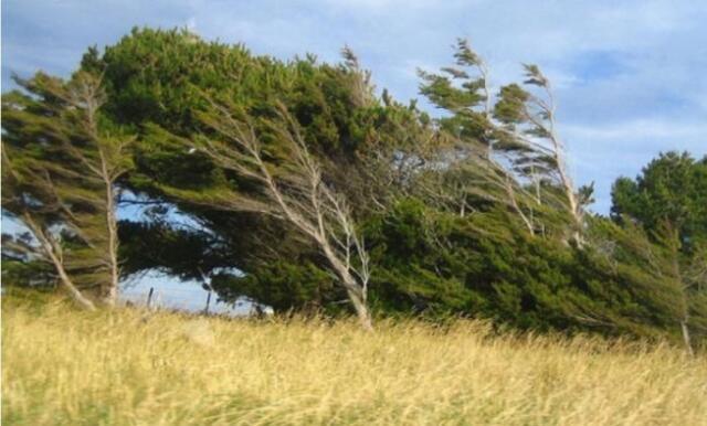 Faktiki hava şəraiti açıqlandı