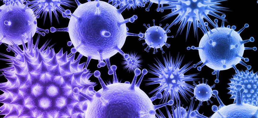 Azərbaycanda infeksion xəstəliklər artır - AÇIQLAMA