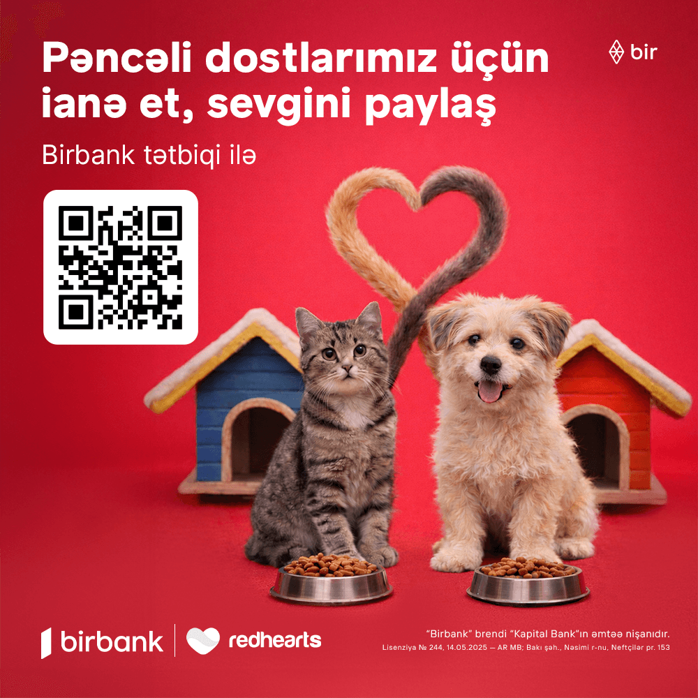 "Pəncəli Ürəklər" sahibsiz heyvanlara dəstək aksiyası uğurla davam edir