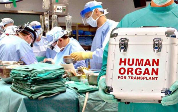 Orqan transplantasiya Azərbaycanda necə həyata keçirilir?