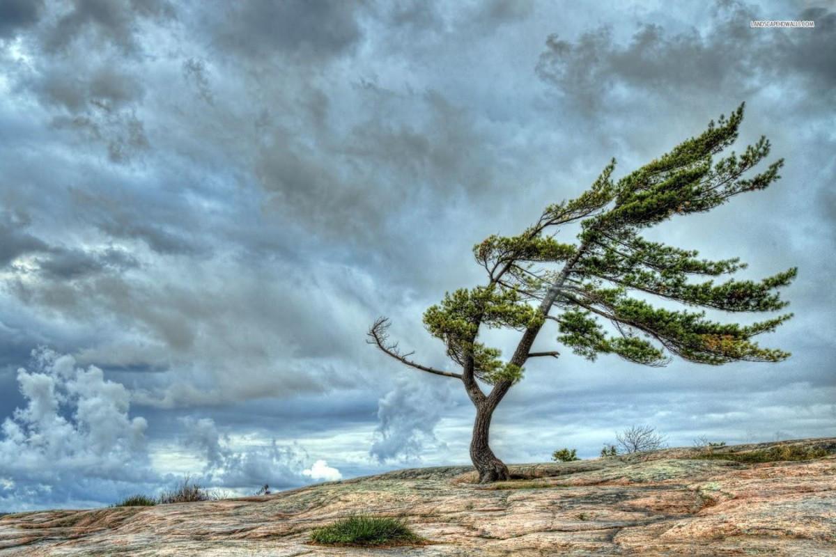 FHN-dən hava şəraiti ilə bağlı XƏBƏRDARLIQ – Qar, güclü külək...